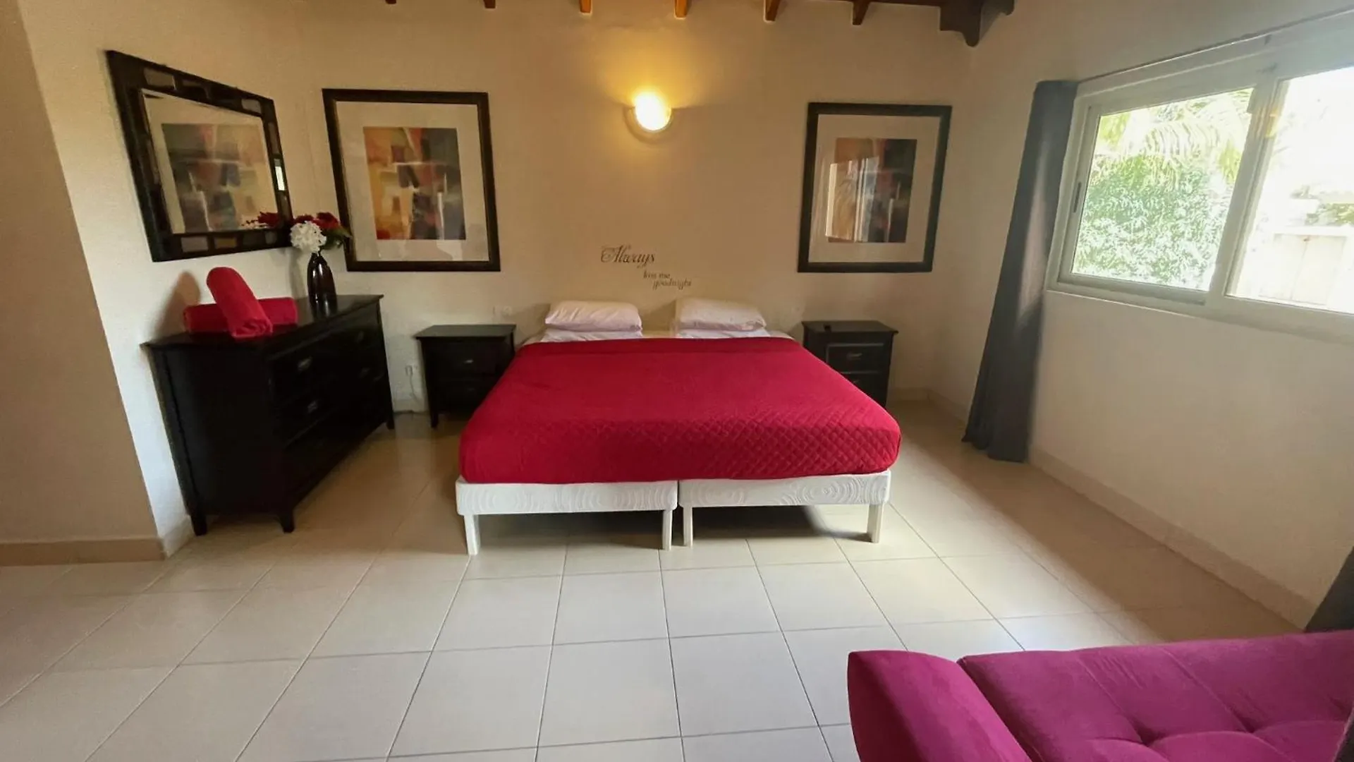 Villa Mi Dushi Cas Aruba Palm Beach